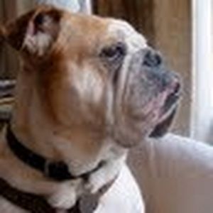 Meet your Posher, Maureen